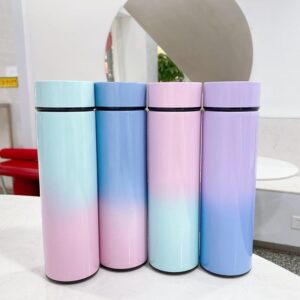 Stainless Steel Vacuum Bottle