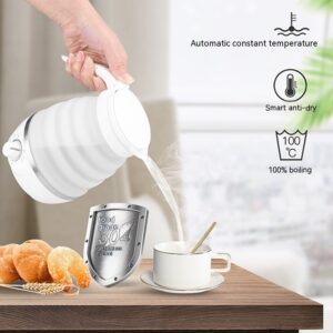 110V220V Weibili Travel Folding Kettle